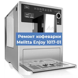 Замена | Ремонт бойлера на кофемашине Melitta Enjoy 1017-01 в Нижнем Новгороде